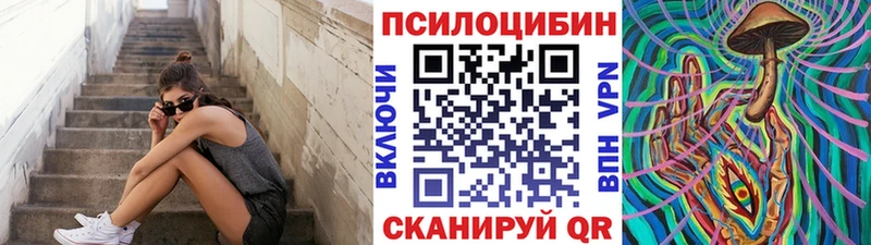 где купить наркоту Кемерово блэк спрут онион Галлюциногенные грибы Cubensis