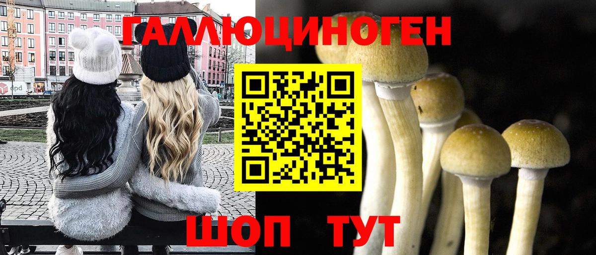 Галлюциногенные грибы Magic Shrooms  Кемерово 