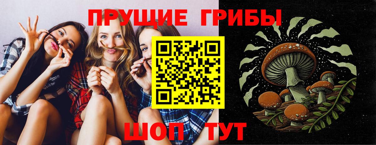 Псилоцибиновые грибы прущие грибы  Вход с VPN  Кемерово 